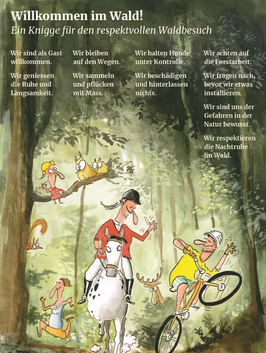 Ein Knigge für den respektvollen Waldbesuch