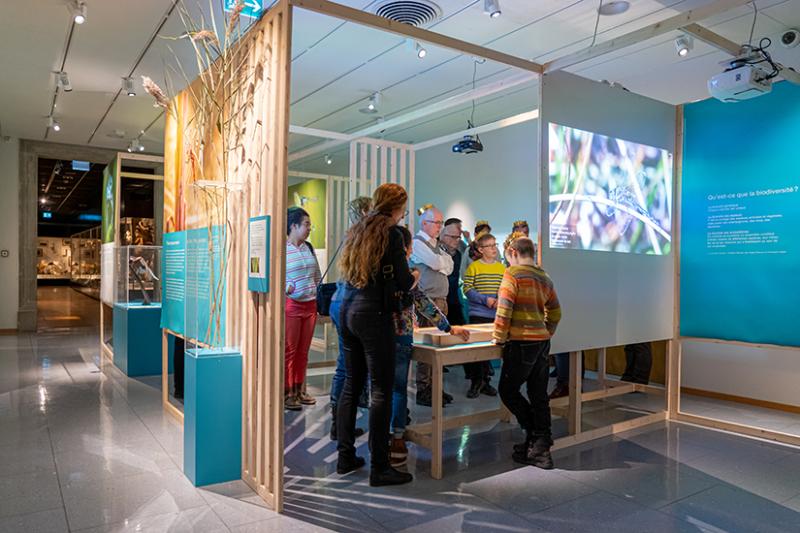 Führung für die Freunde des Museums